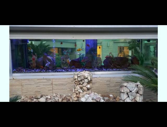 4 BEDROOM HOUSE FOR SALE IN GLEN ERASMIA